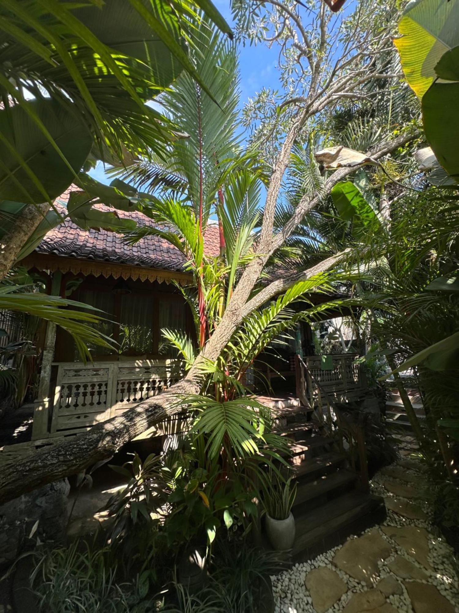 Umakayu Joglo Villa Canggu - Boutique Hotel Bagian luar foto